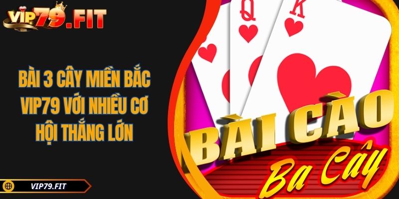 Bài 3 Cây Miền Bắc VIP79 Với Nhiều Cơ Hội Thắng Lớn 9 Bài 3 Cây Miền Bắc VIP79 Với Nhiều Cơ Hội Thắng Lớn